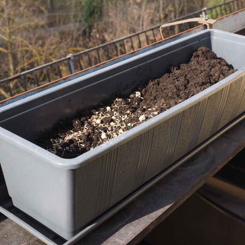Can You Use Garden Soil for 5-Gallon Container Gardens