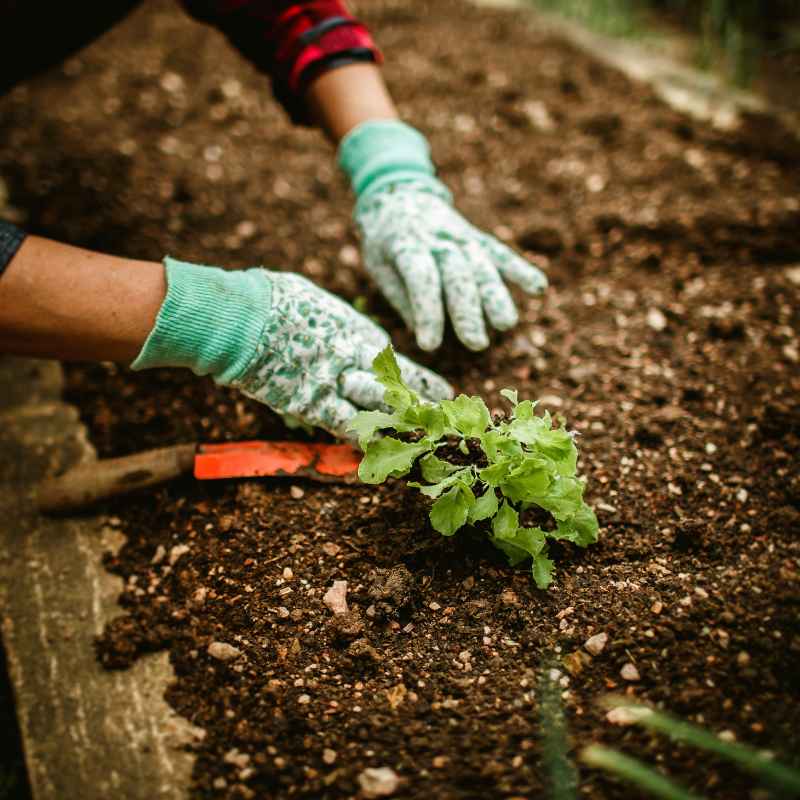 Foundational Skills