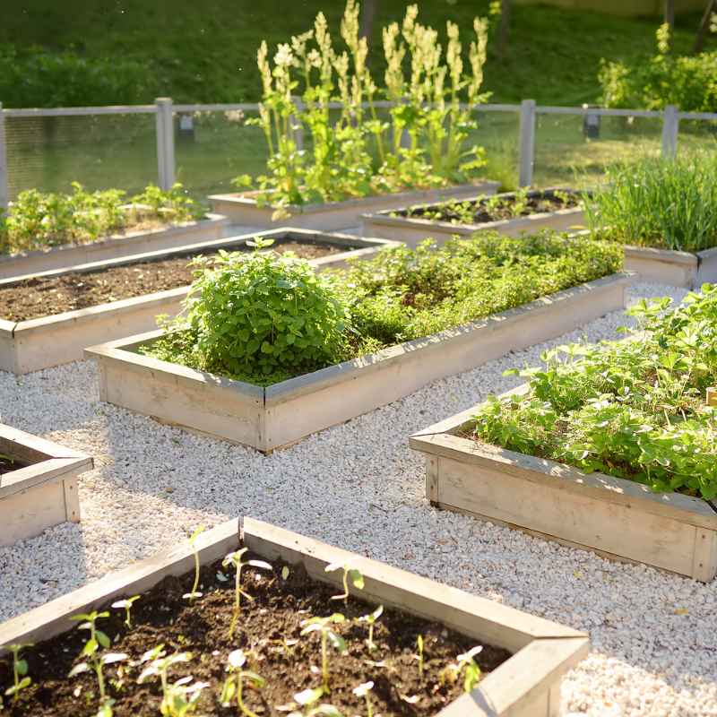 Understanding Concrete Blocks for Gardening