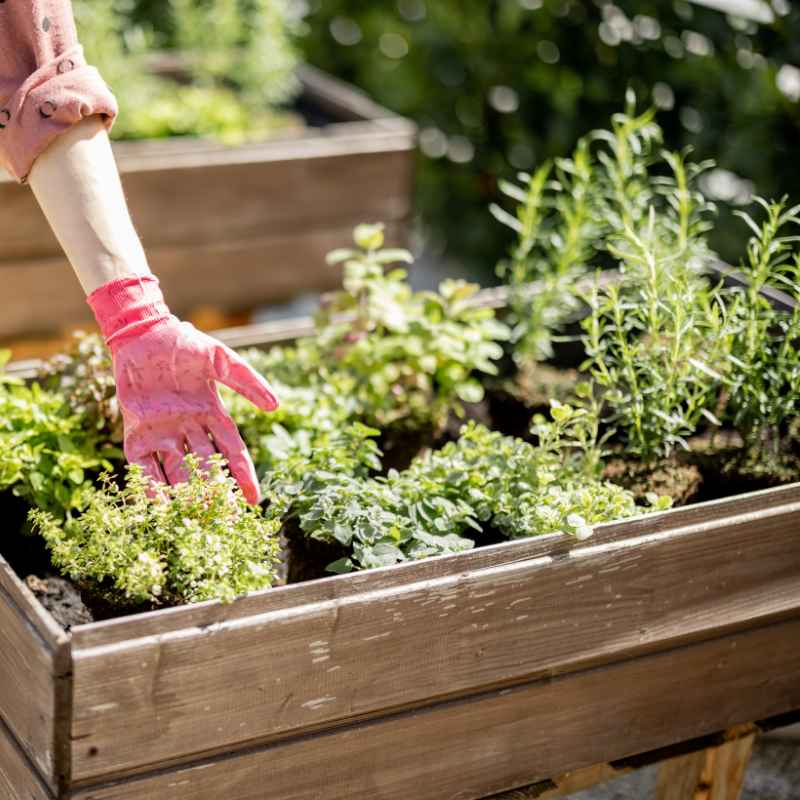 Quick Fixes & Tips for Garden Safety