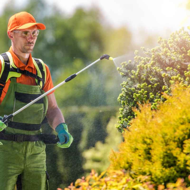 Quick Fixes & Tips for Natural Pest Management