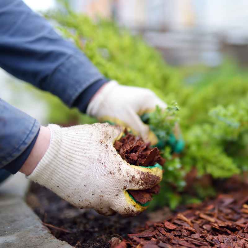 Quick Fixes and Tips