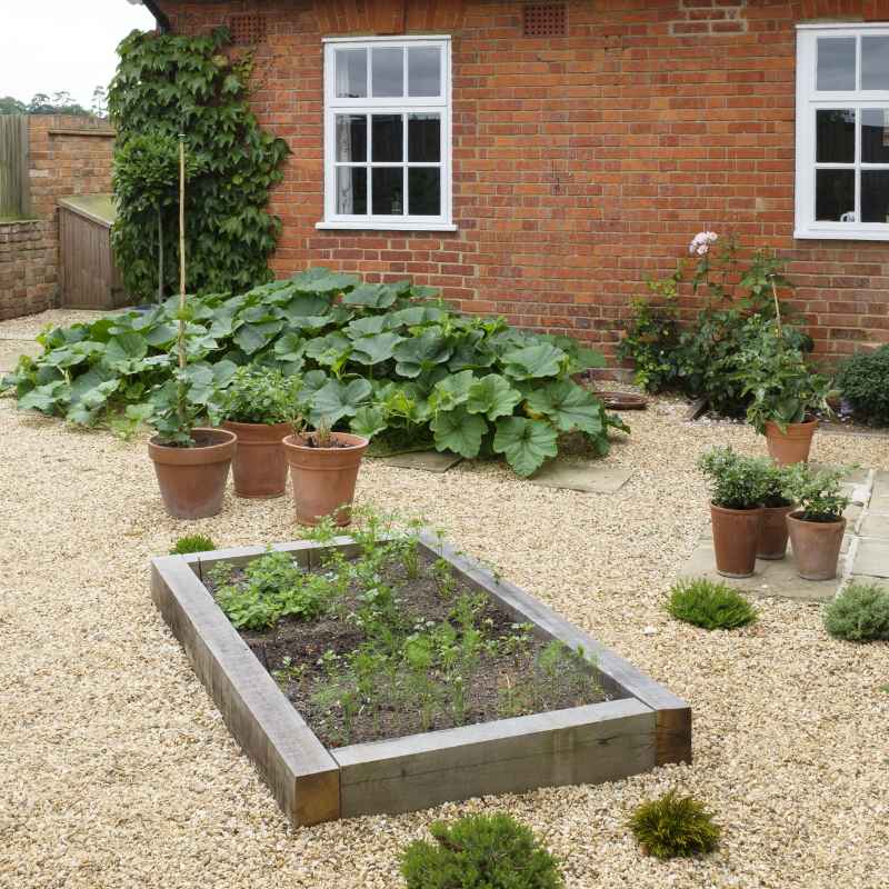 Quick Fixes and Tips for Your Garden Beds