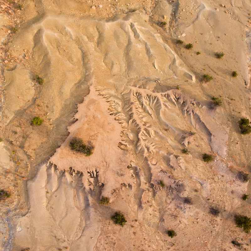 Quick Tips for Better Soil