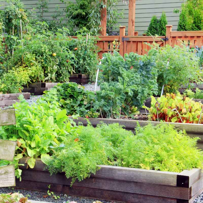 Quick Tips for Choosing Your Plants