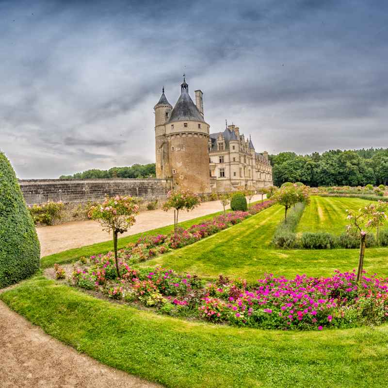 Quick Tips for Garden Enthusiasts
