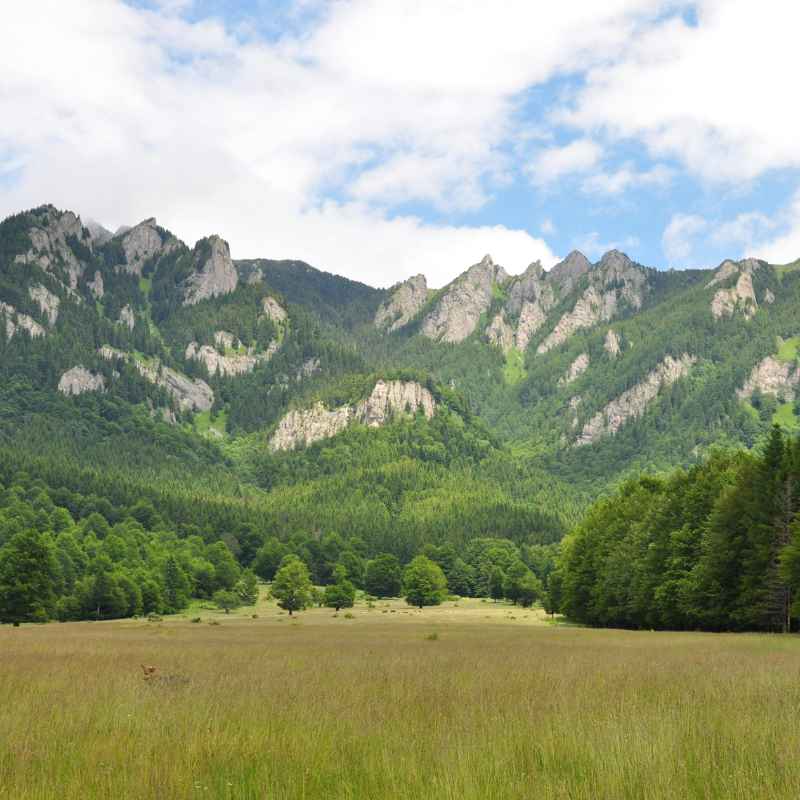 Quick Tips for Landslide Awareness