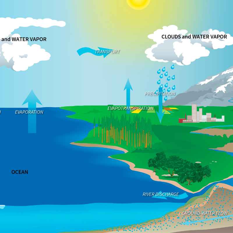 Quick Tips for Managing Runoff at Home