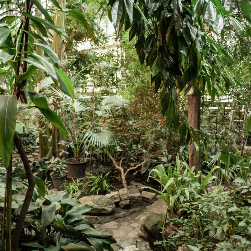 Quick Tips for Plant Sale Success