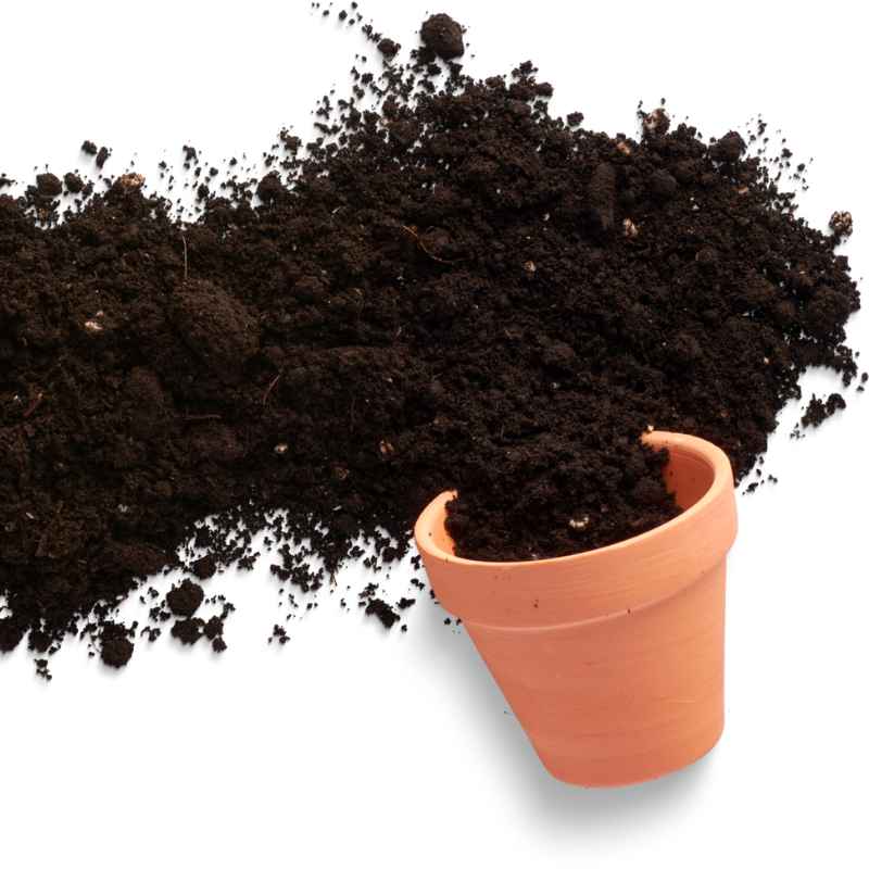 Quick Tips for Soil Success