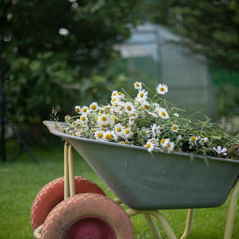 Quick Tips for a Garden Picnic
