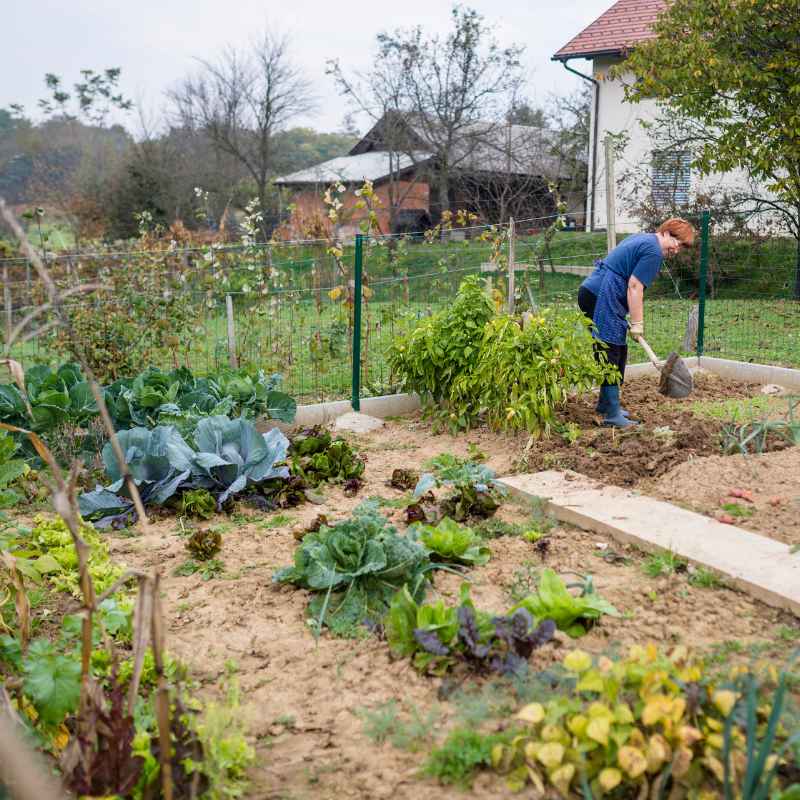 Quick Tips for a Resilient Garden