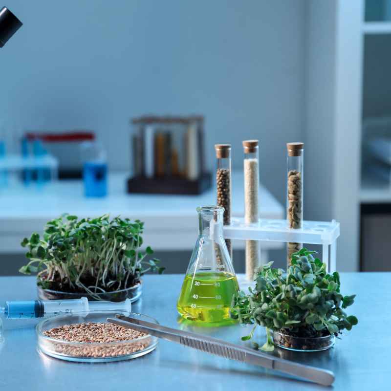 The Core Differences in Genetic Engineering