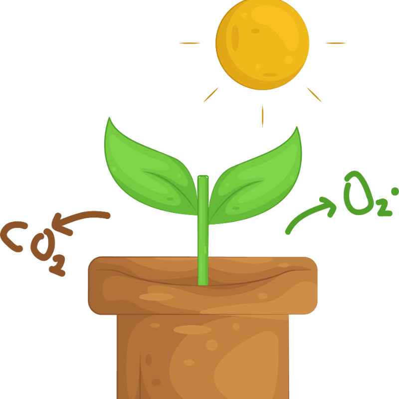 The Core of Photosynthesis