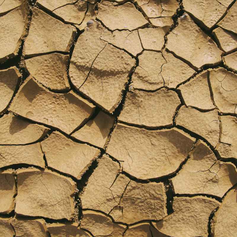 The Heart of Soil