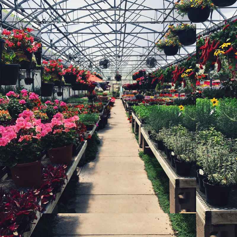 The Heart of the Store