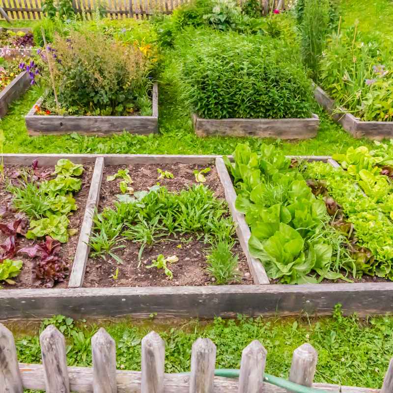 The History of Wood Treatments and Garden Concerns