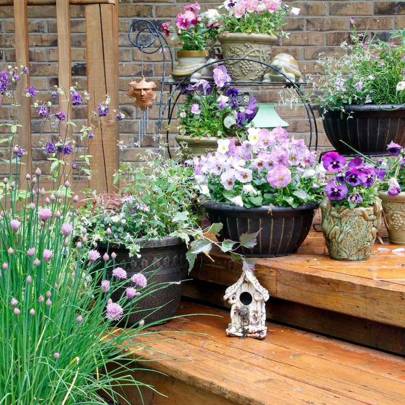 The Magic of Perennials in Pots