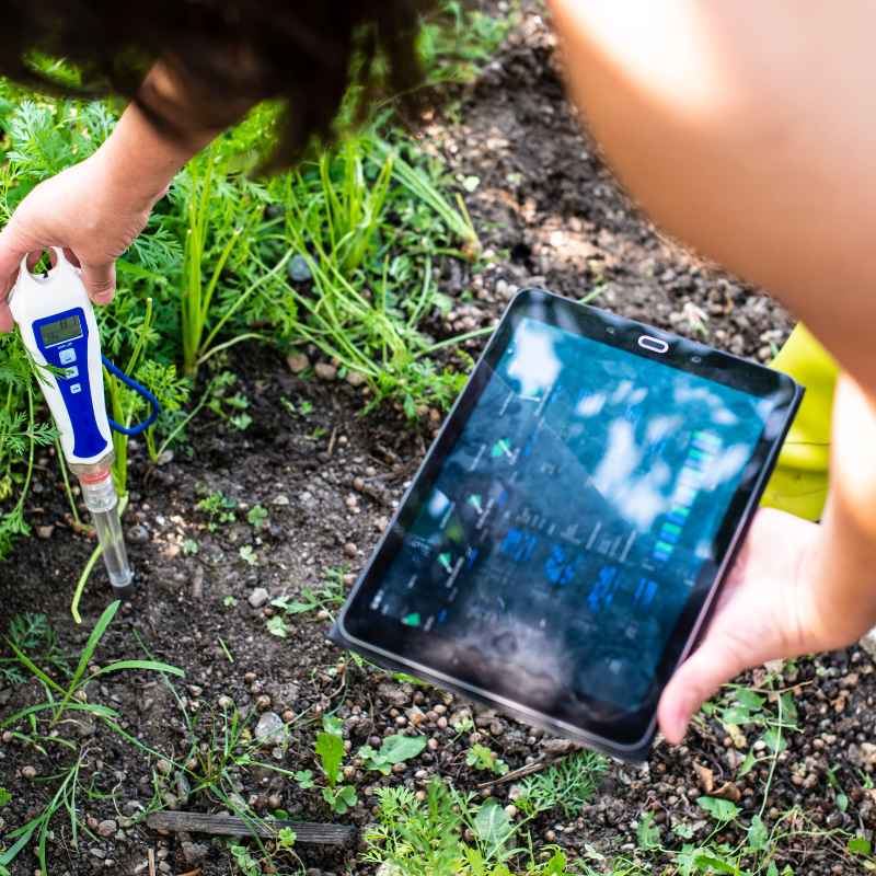 Quick Tips for Managing Soil pH