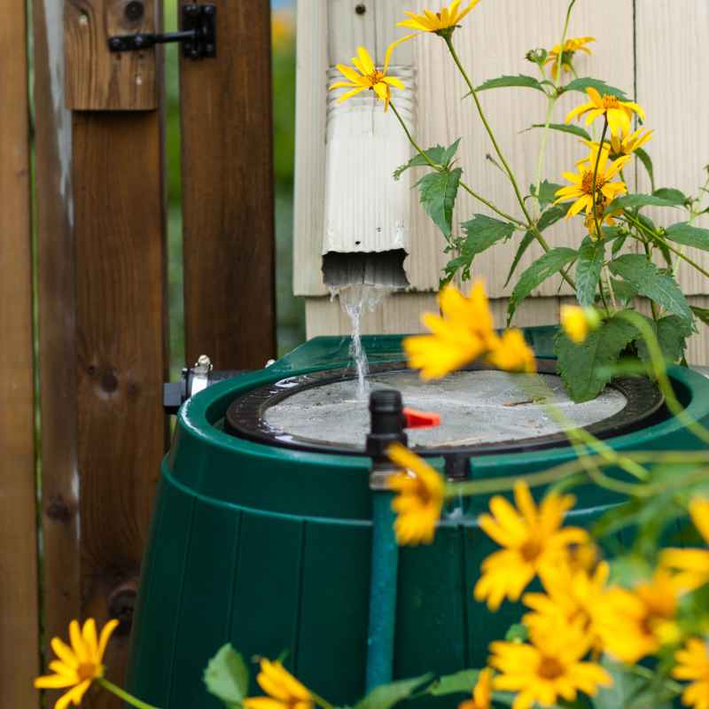 Tips for Maximizing Your Rain Barrel Use
