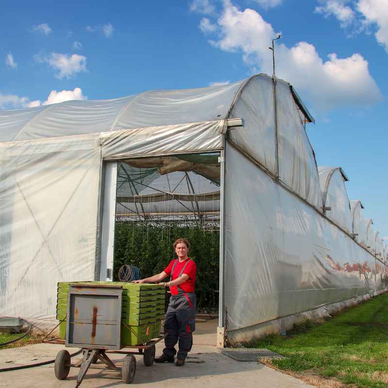 Tips for Successful Commercial Growing in Oklahoma