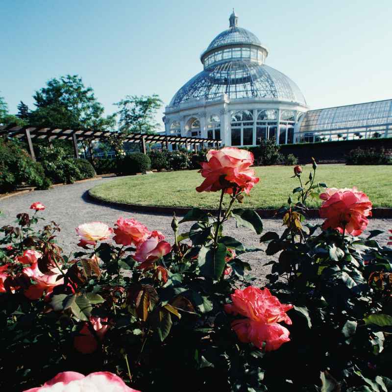 Understanding Airport Proximity to Queens Botanical Gardens