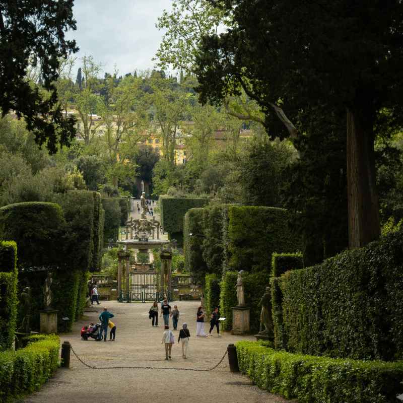 Understanding Atlanta Botanical Garden Ticket Pricing