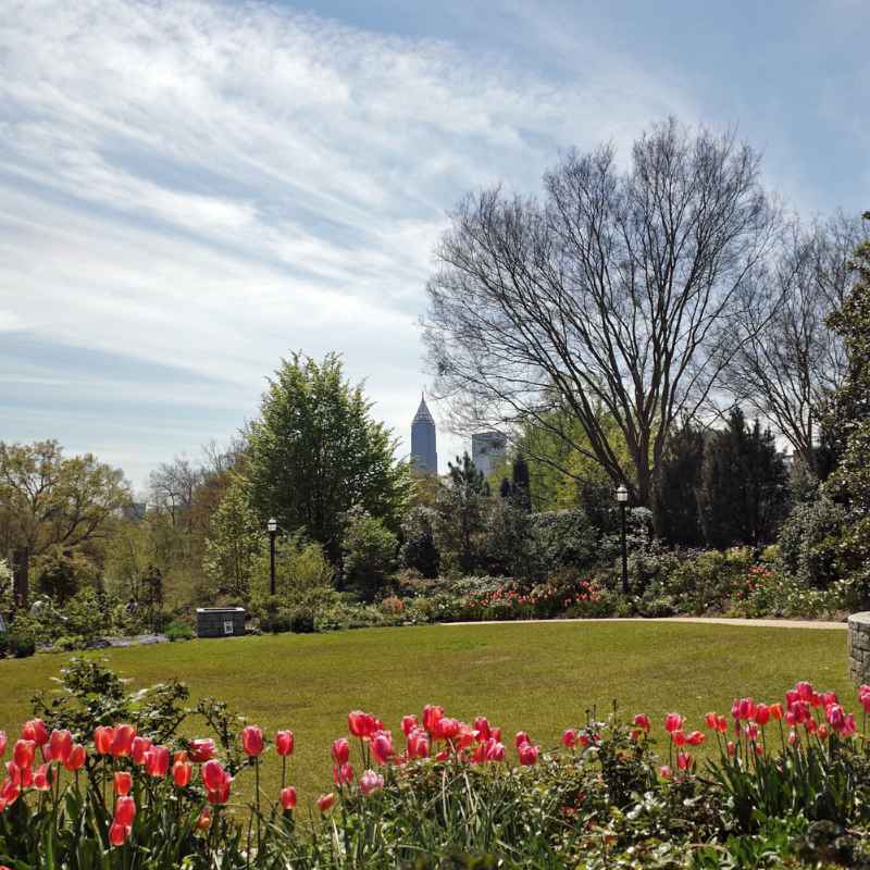 Understanding Chihuly’s Art and Gardens
