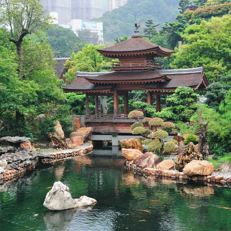 Understanding Hong Kong Zoological and Botanical Gardens