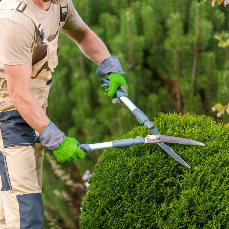 Understanding Landscaping Responsibilities