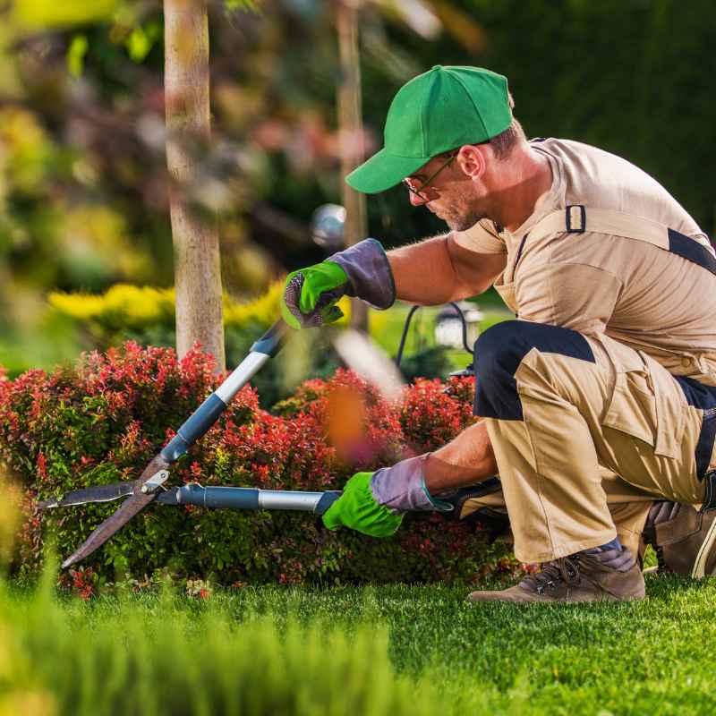 Understanding Profitable Landscaping Services