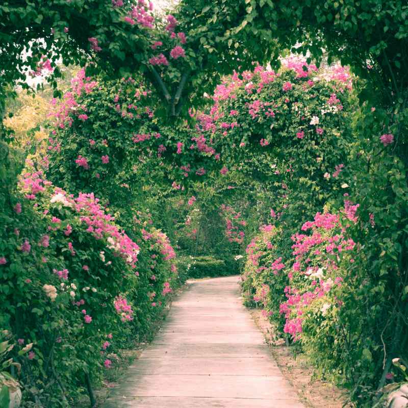 Understanding Sandwich Botanical Gardens Pricing