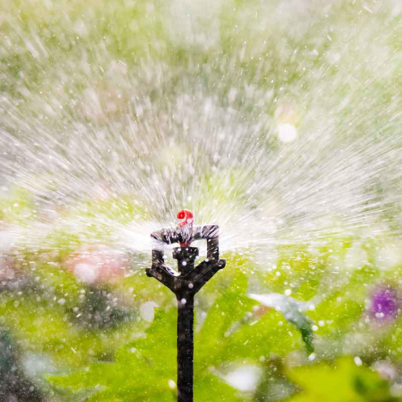 Understanding Your Arduino Automatic Watering System