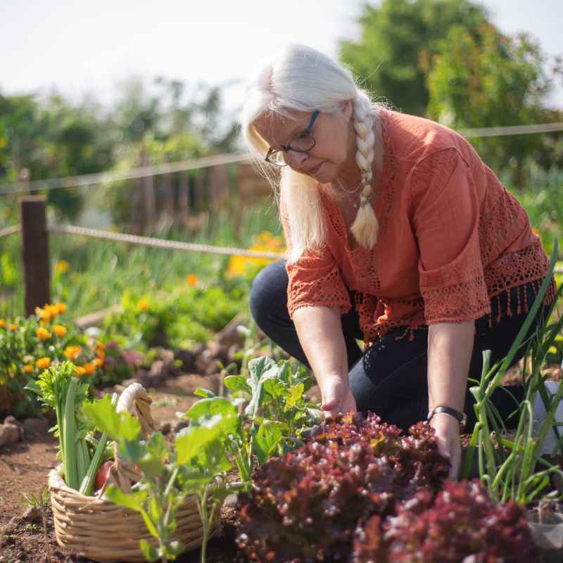 Understanding the 2019 Growing Season in Ohio