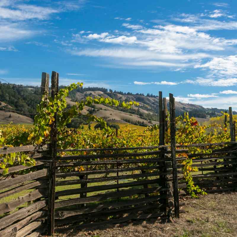 Understanding the Drive to Mendocino Botanical Gardens