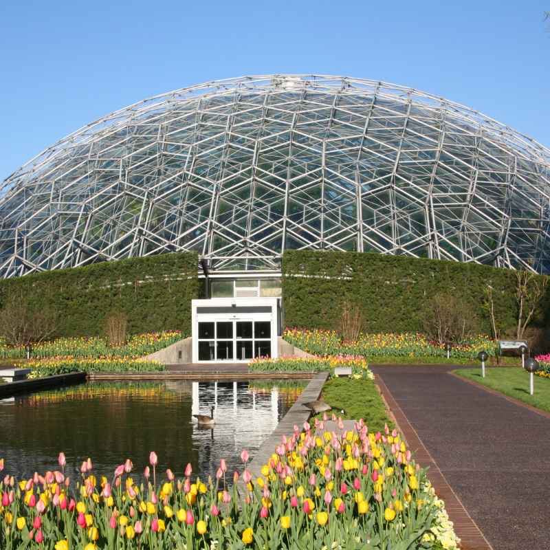 Understanding the St. Louis Botanical Gardens Summer Concert Series
