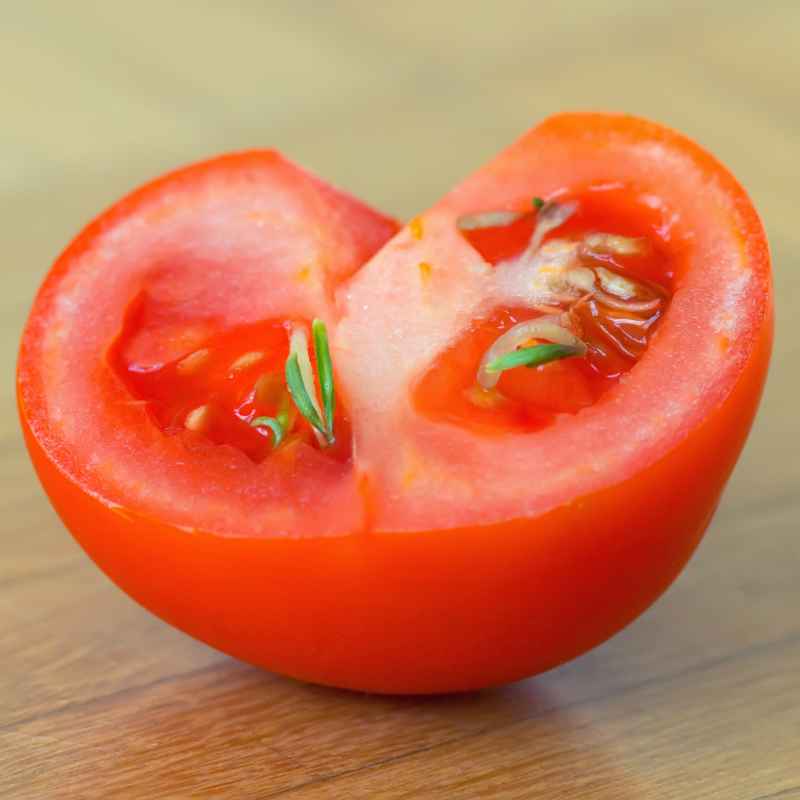 What Are Free Tomato Seeds and Why Do People Share Them?