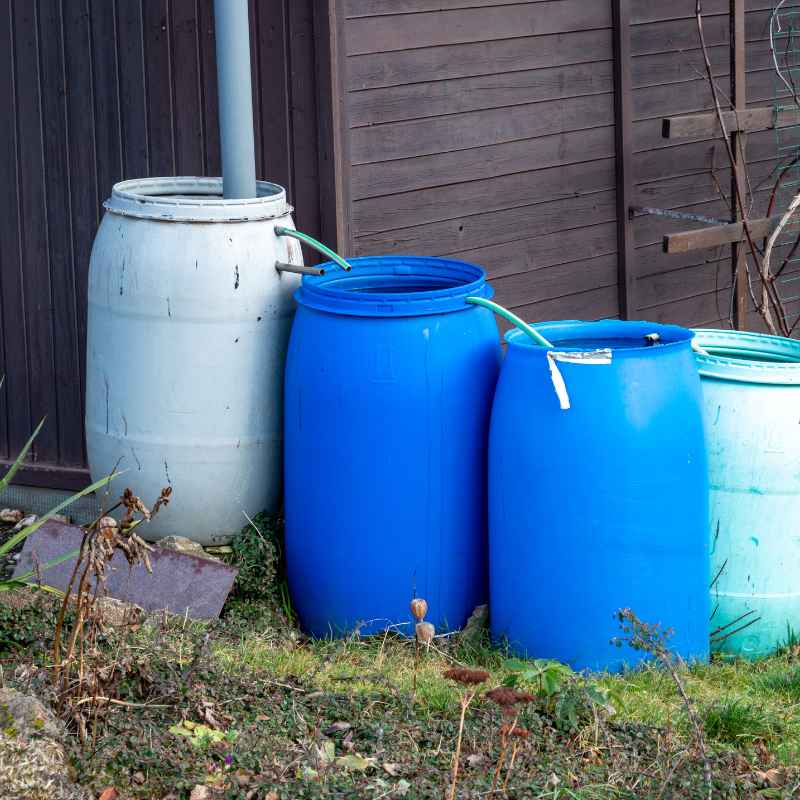 What Are Rain Barrels and How Do They Work?