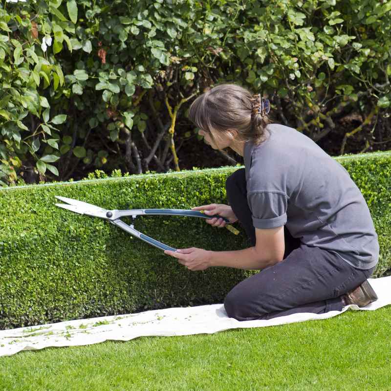 What Is a Landscaping Business Consultant?