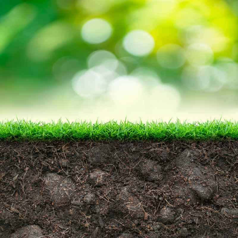 What Is a Soil Differentiation Device