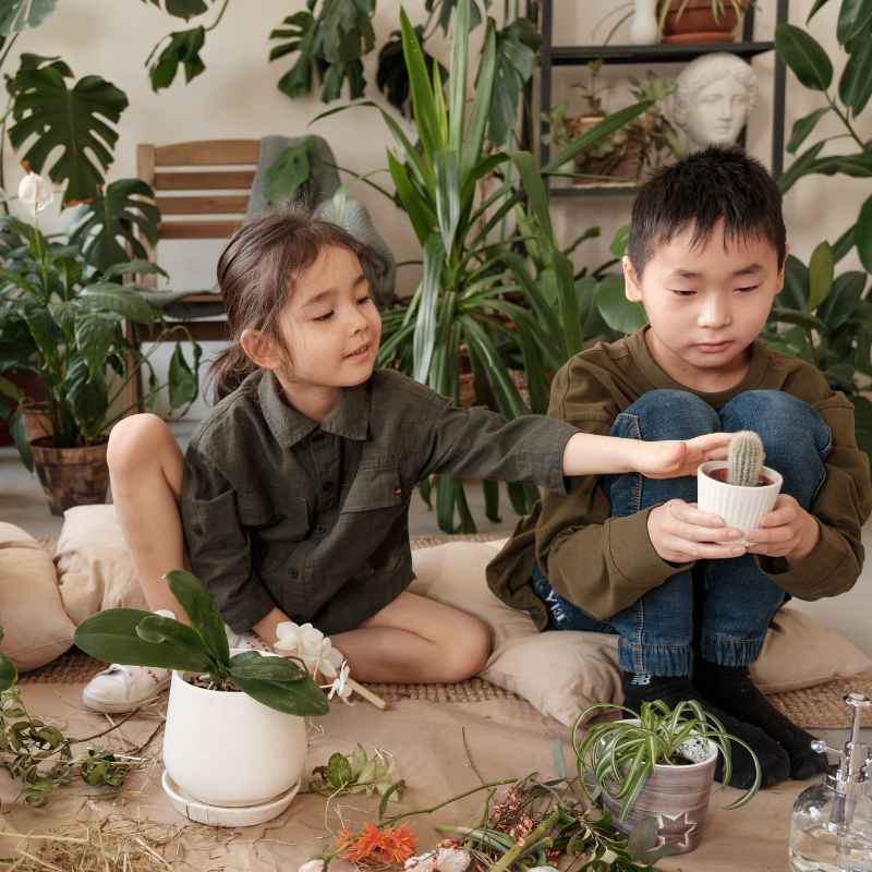 What is School Gardening Education?