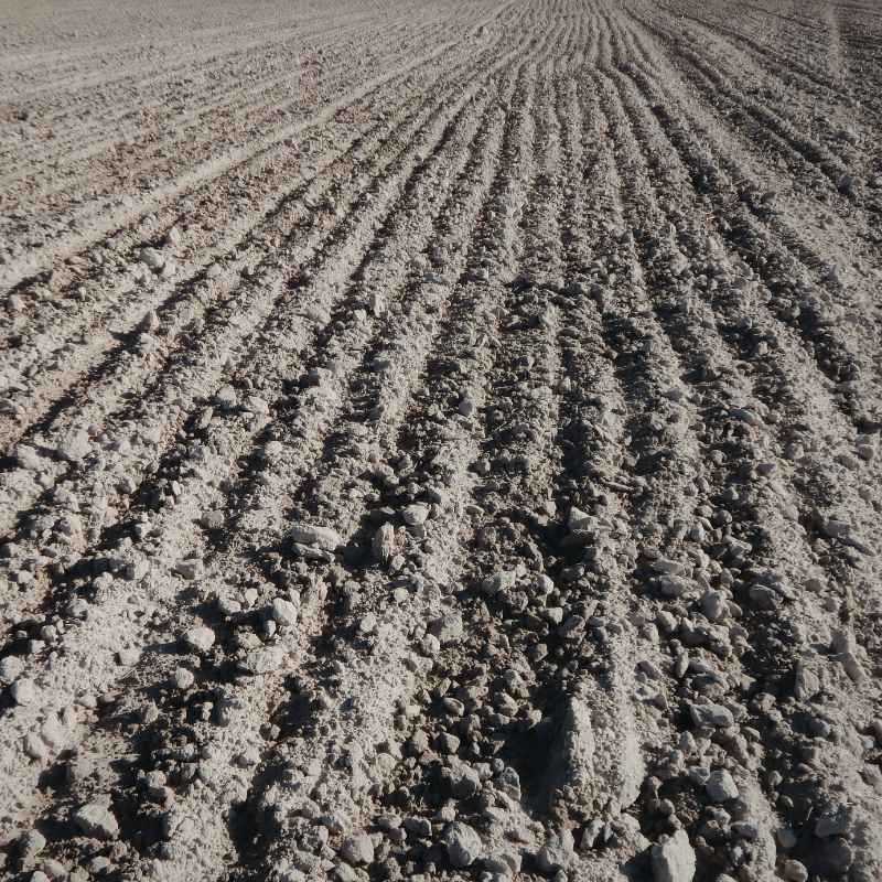 What is Soil Really?