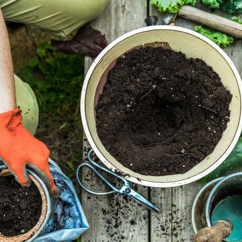 Why Garden Soil is Tricky for Pots