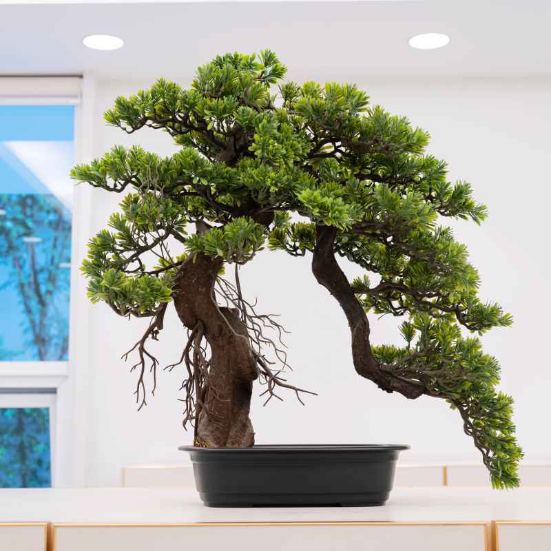 Why Moving Indoors to Outdoors Matters