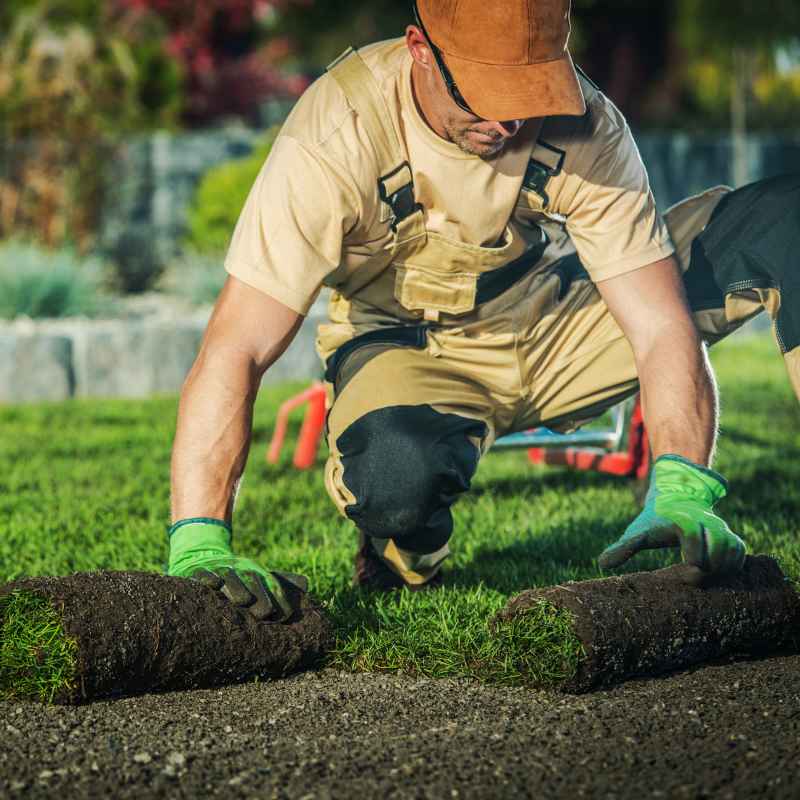 Why Removing Grass is Key