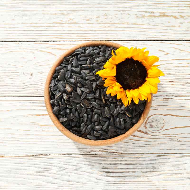 Why Saving Sunflower Seeds Matters
