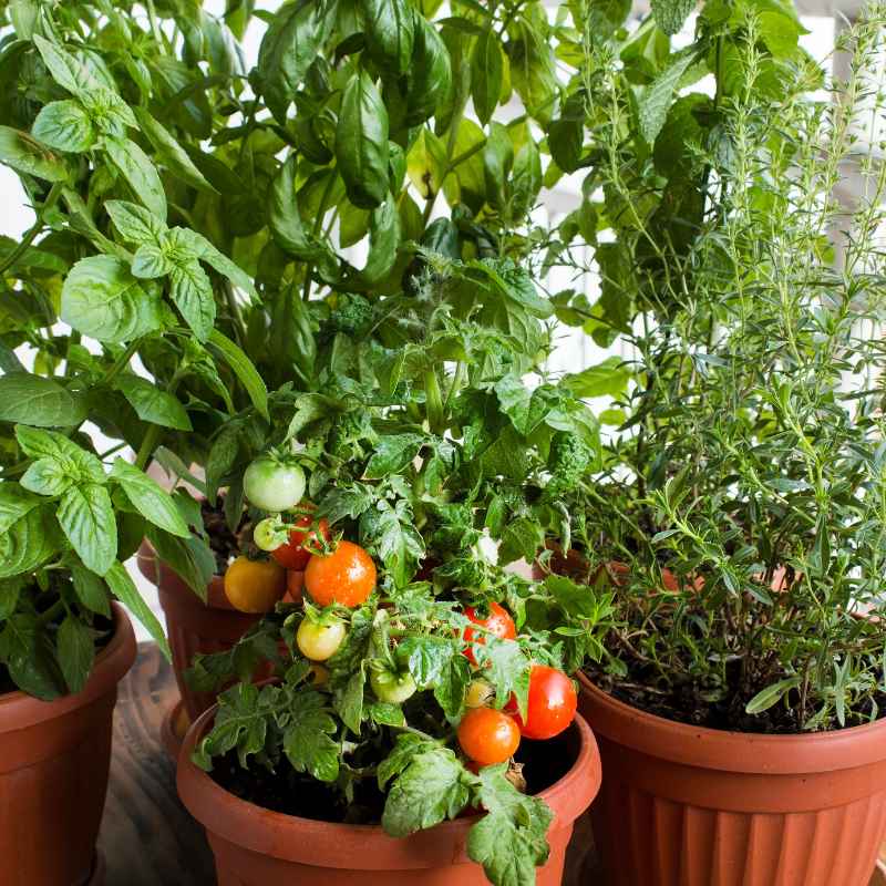 Advanced Tips For Bigger Yields