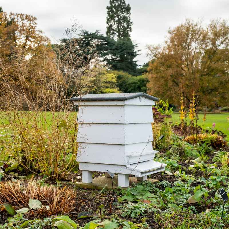 Can A Walk In The Park At Boerner Botanical Gardens Work In November?