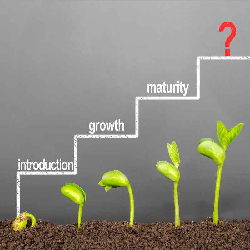 Common Misconceptions About Moss Fertilization