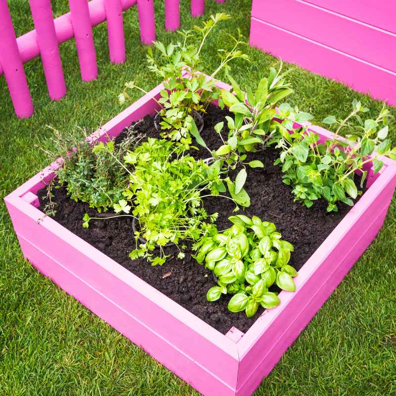 Common Mistakes When Using Painted Pine in Gardens